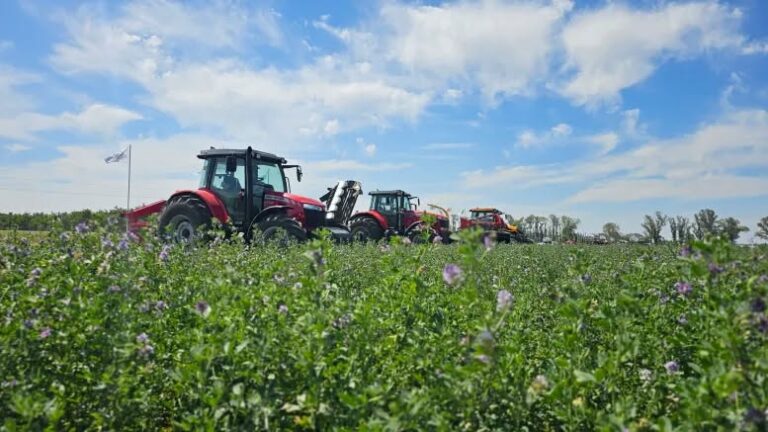 Pozo del Molle será sede de TodoAlfa 2025
