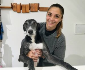 “Celebrar el día del animal, siendo proteccionistas”