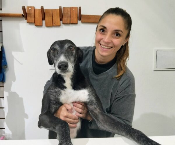 “Celebrar el día del animal, siendo proteccionistas”