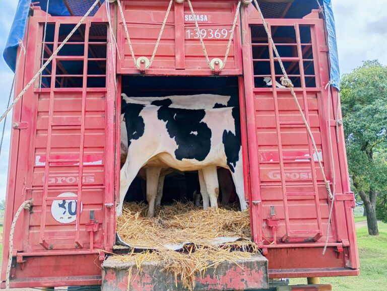 Cabaña “Mundo Gen” presente en la Expo Provincial de la Leche
