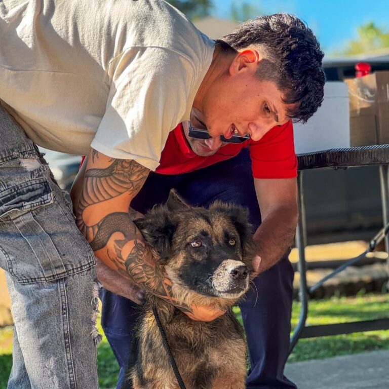 Porteña 🐶🐈  Nueva Jornada de Vacunación  Antirrábica gratuita