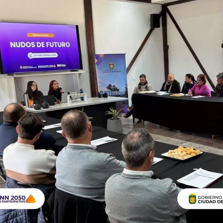 *Primer encuentro Brinkmann 2050*
