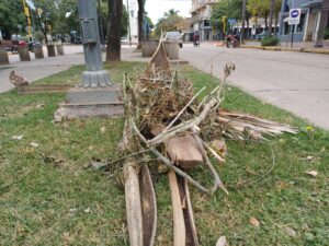 Morteros: reemplazan un día de la recolección diferenciada por restos verdes embolsados