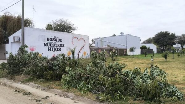 Morteros 📢 Colocaron residual de ramas frente al Bosquecito de Nuestros Hijos