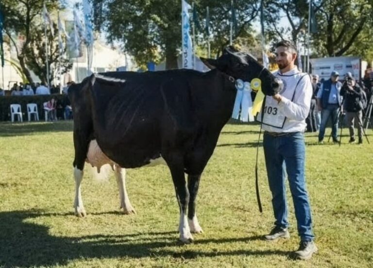 TODO LACTEA 2026: La Lilia se quedó con el premio Vaca Suprema de la muestra