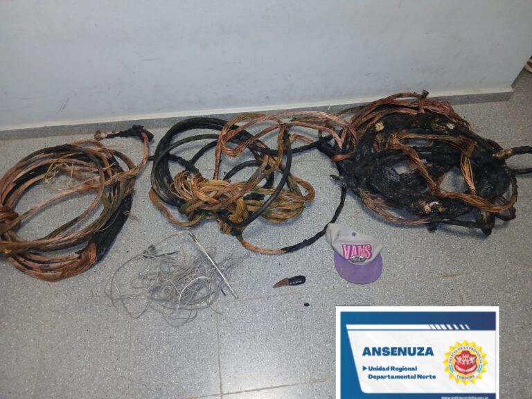 Seeber 🚨Dos detenidos por robar cables en una fábrica láctea