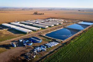 La Provincia certifica los primeros créditos de carbono de una planta de biogás bajo el Estándar CBA