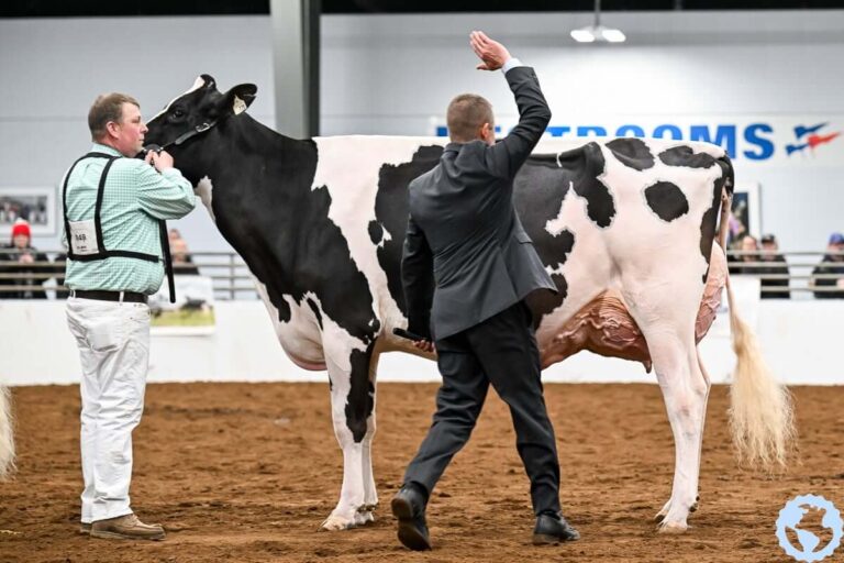 Expo Rural Rafaela compartirá el jurado con la Madison