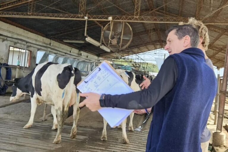 Con la 9na competencia de Vacas a Campo comenzó la agenda de la 119° ExpoRural Rafaela