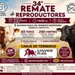 34° Remate de reproductores en Sociedad Rural de Hersilia