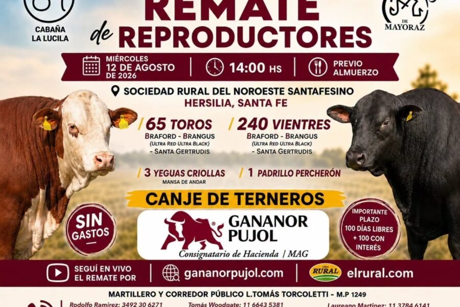 34° Remate de reproductores en Sociedad Rural de Hersilia