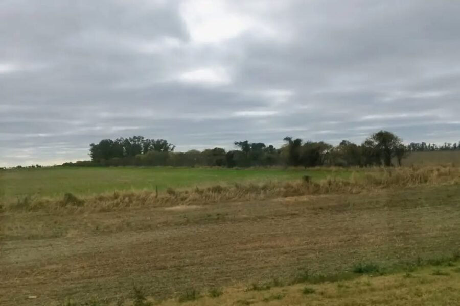 Colonia Vignaud 🚨 Hallaron a un motociclista muerto en la calzada