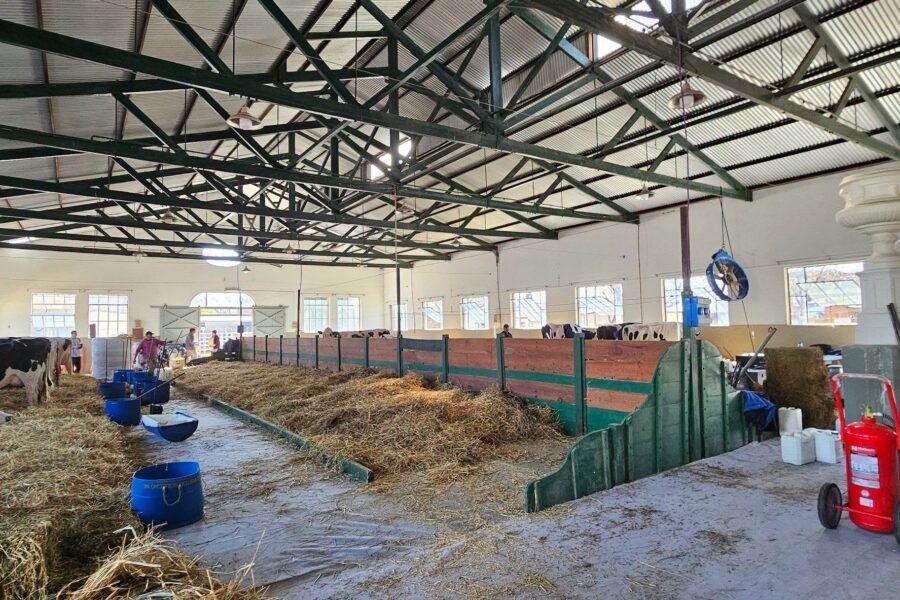 Récord de Holando en la pista de la Expo Rural de Rafaela