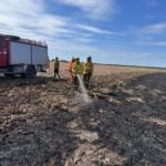 Incendio Forestal en colonia San Pedro