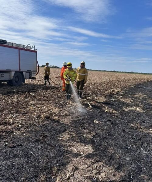 Incendio Forestal en colonia San Pedro