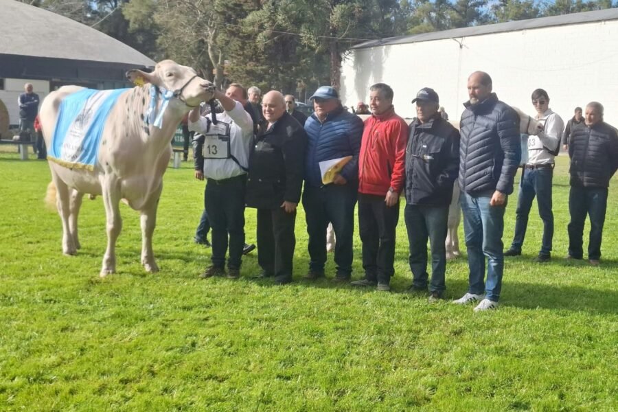 BOX 13 🏆Gran Campeón Macho en la MECA 2026, de la cabaña morterense Mundo Gen