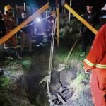Rescataron a un caballo que había caído a un pozo ciego
