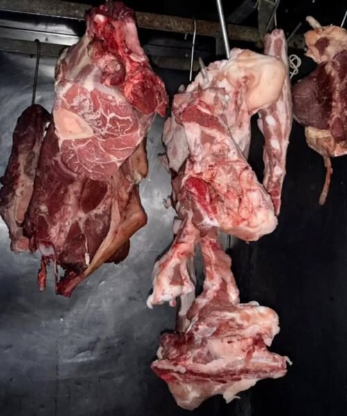 Villa Concepción del Tío 🚨 Patrulla Rural secuestró más de 120 kilos de carne y una camioneta por abigeato
