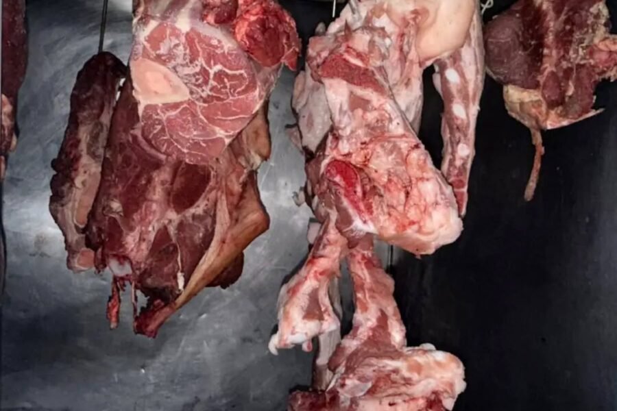 Villa Concepción del Tío 🚨 Patrulla Rural secuestró más de 120 kilos de carne y una camioneta por abigeato