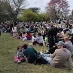 Morteros y sus colonias en Primavera