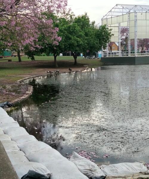 Morteros 🫧 Limpian los lagos por el exceso de algas