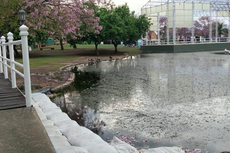 Morteros 🫧 Limpian los lagos por el exceso de algas