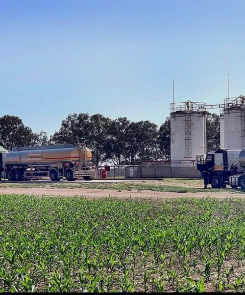 Biocombustibles: Una nueva ley abriría a Córdoba más oportunidades de inversión, producción y empleo