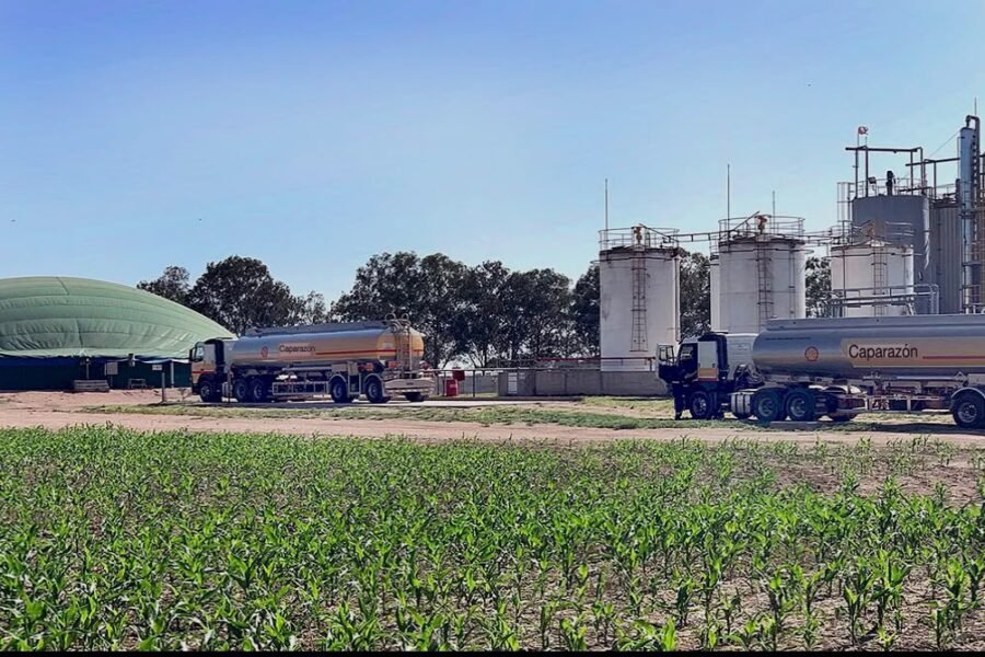Biocombustibles: Una nueva ley abriría a Córdoba más oportunidades de inversión, producción y empleo