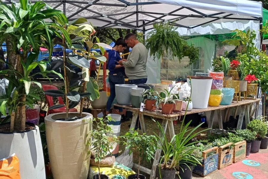Fiesta de la Tierra y la Tradición: se esperan más de 200 expositores entre artesanos y emprendedores
