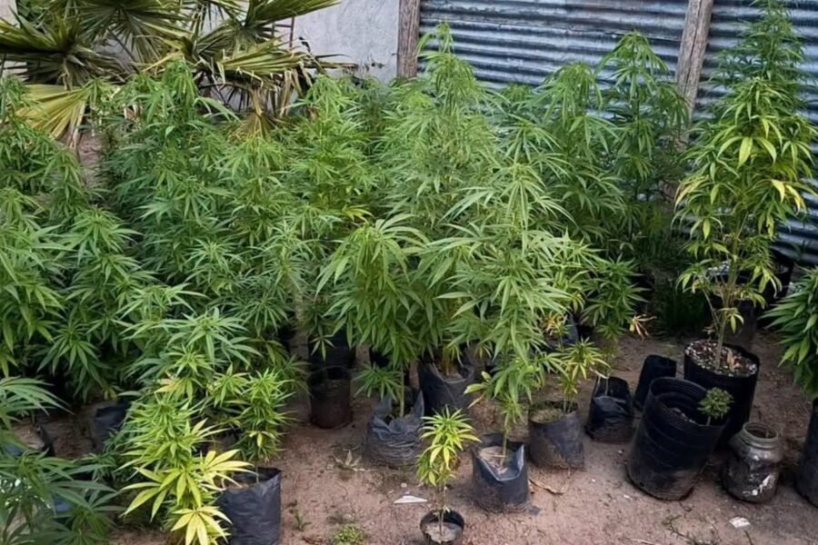 Morteros: detienen a sujeto de 27 años y secuestran elementos relacionados a robos