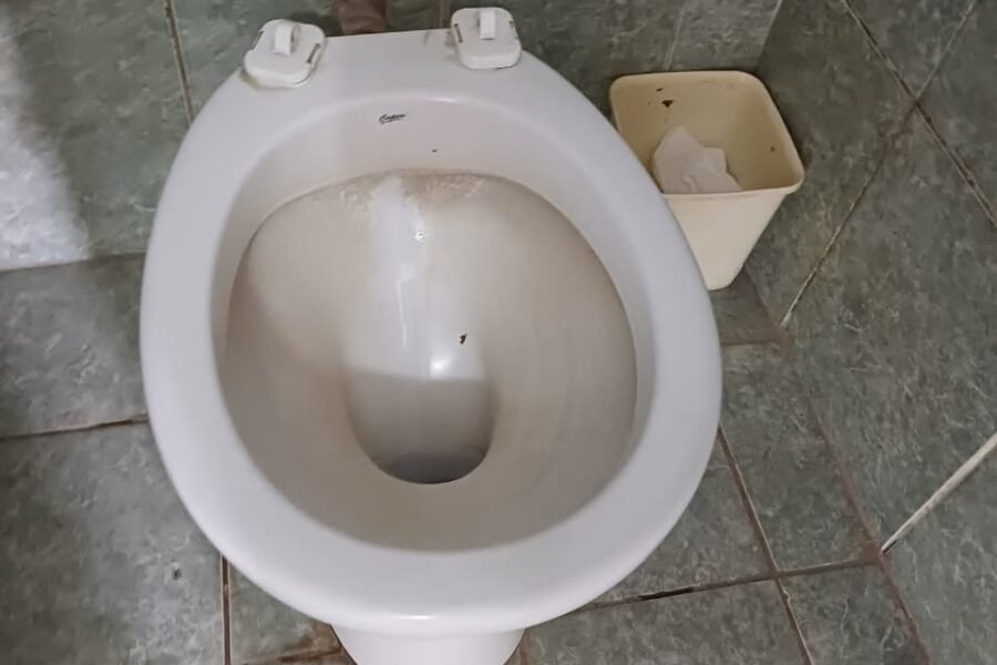 Reclaman al Municipio que realice mejoras en los sanitarios de la Terminal